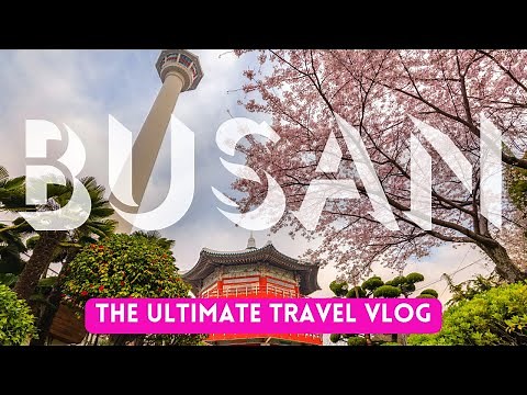 The Only Busan Travel Guide You'll Ever Need: 50 Unforgettable Experiences