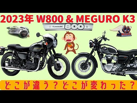 【2023年】圧倒的W800シリーズ４機種比較！2023年モデルの変更点も分かる動画【メグロK3】
