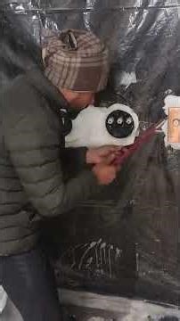 how to install rapido Smart Box grohe #bathroom #shortvideo #bathroomdesign