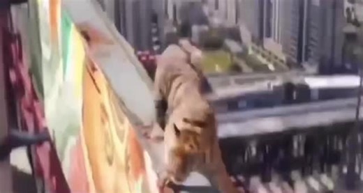 Inflatable Tiger Lifted High Above the Cityscape