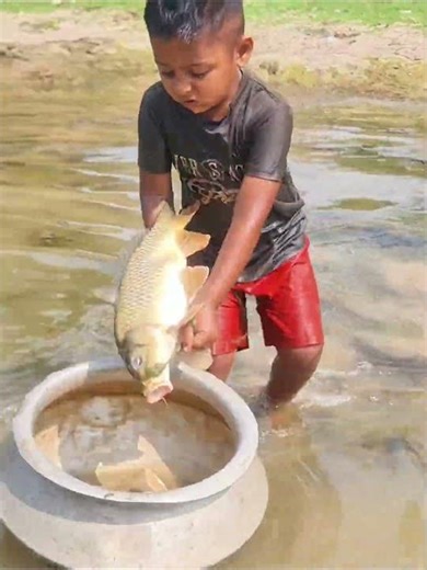 Amazing Boy Catching Fish By Hand #fishing
