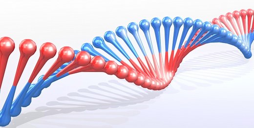 Advancing the Study of 'Jumping' Genes | Genetics And Genomics