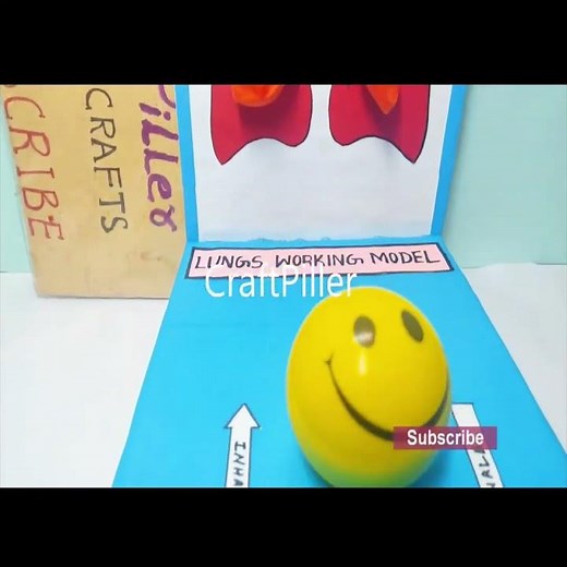 lungs working model for science project exhibition - diy - craftpiller