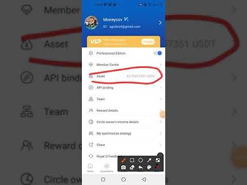 How I Transfer Funds From Royal Q To Binance