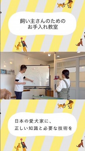 【飼い主さんのためのお手入れ教室】トイプードルの乙ちゃん｜自己流カットのリベンジ成功