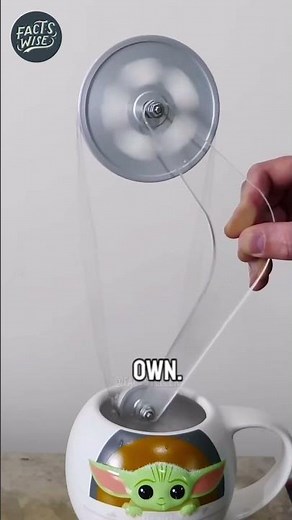 Nitinol: The Amazing Shape Memory Alloy