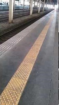 燕三条駅 新幹線 MAXとき 到着