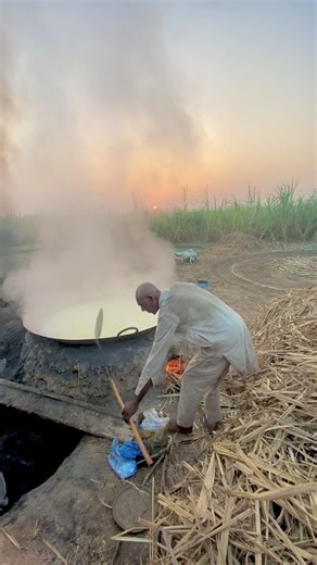 Bulls Helping operate Jaggery Making Juicer Machine #shortsviral #farming #jaggery_trend