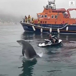 FLYING FLIPPERS: A playful dolphin jumps out of the ocean to chime in as lifeboat crews talk with jet-skiers 2wsb.tv/2YnkJDl | WSB-TV