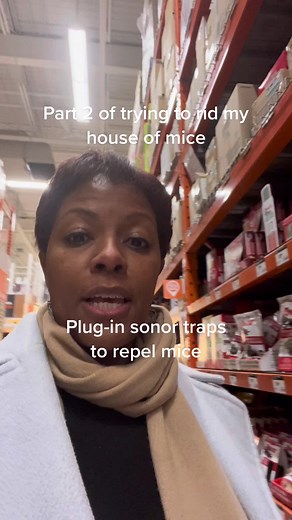 Effective Sonar Traps for Mice Control