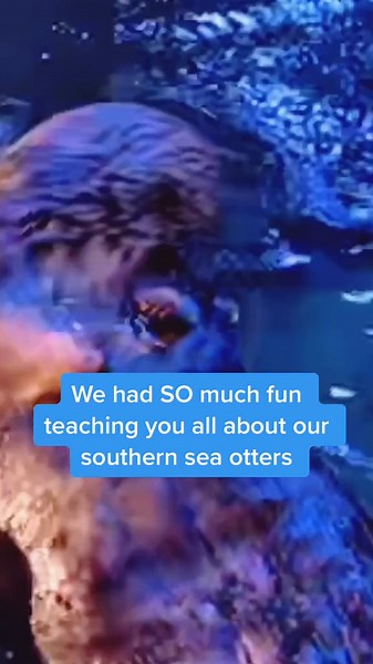 Aquarium of the Pacific: Live on TikTok