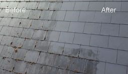 Roof Cleaning | Roof Cleaning Dublin | Nolans Group Dublin