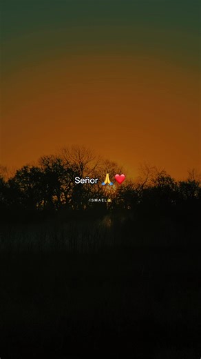 Daily Motivational Reflections for a Positive Mindset