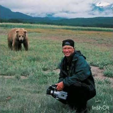 oso y Timothy Treadwell (Audio