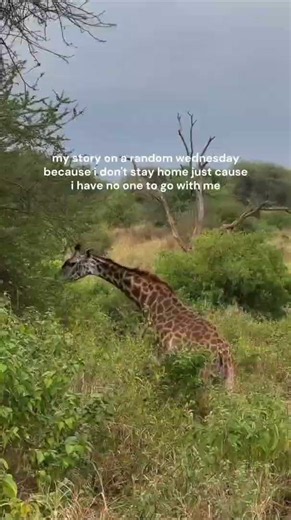 Exploring Tanzania's Wild Side, from I'm H. 🇹🇿
