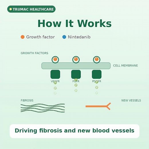 How Nintedanib Works | Triple Kinase Inhibition in Fibrosis | NINTELIS-150