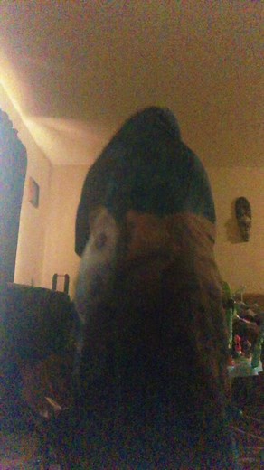 solo_savage (@solo_savage)’s videos with original sound - M E R C Y💎