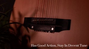 TARIO 10 String Acoustic Cuatro Guitar spruce top Ovankol back & sides rosewood fingerboard &bridge