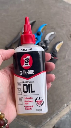 Before storing your pruners, shears, and loppers, clean them and apply a protective coat of 3-IN-ONE Multi-Purpose Oil. It protects against rust during storage, keeps blades sharp, and ensures your tools are ready to go next spring. Just watch how #3IOpartner BricksnBlooms does it! Your future self will thank you when planting season arrives! 🌱 | 3-IN-ONE Oil