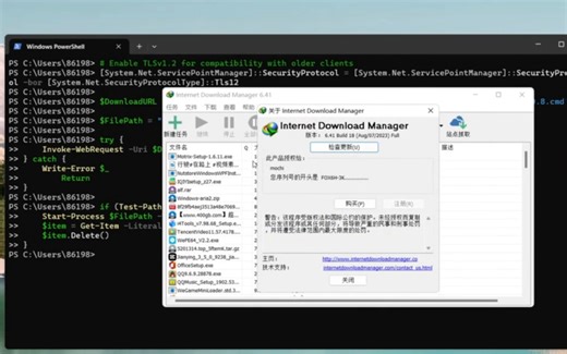 IDM免费激活教程，支持更新，理论永久