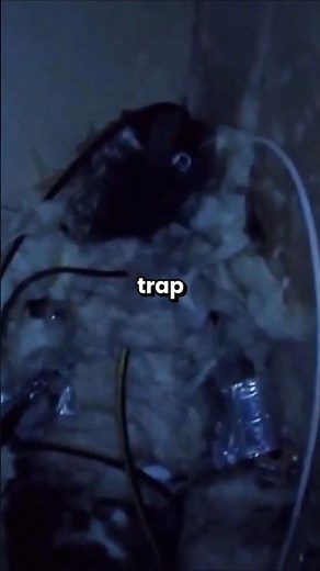 The Bizarre Legend of the Real-Life Springtrap | #shorts #fnaf