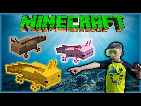 Discover and Learn About Axolotls In Minecraft Family Friendly Survival and In Real life
