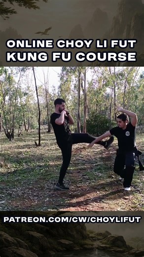 Choy Li Fut Kung Fu Self Defense Applications!