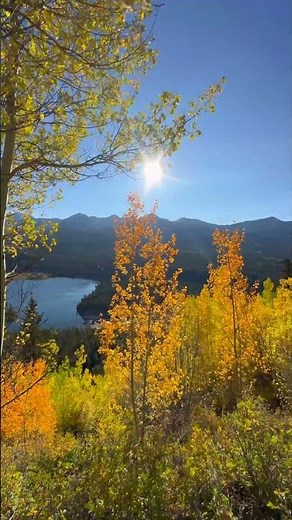 Sunlight Through the Aspens | A Perfect Fall Day in the Colorado Rockies