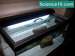 DIY: Buhar Jeneratörü 💫 Bilimsel Ve Popüler Multimedya Portalı. 2025