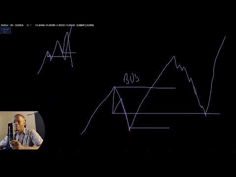 Why Quasimodo Patterns Actually Work (the best explanation yet)