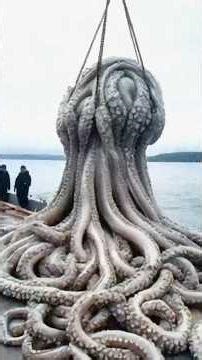 Disturbing Creatures Recently Found in the Indian Ocean