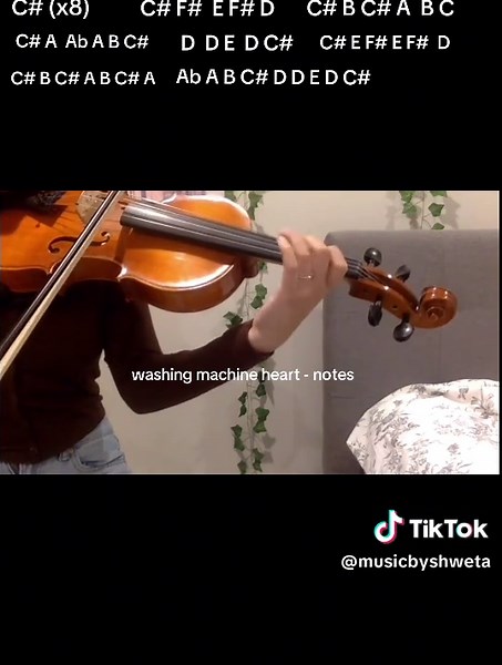 Washing Machine Heart: Musical Notes and Insights