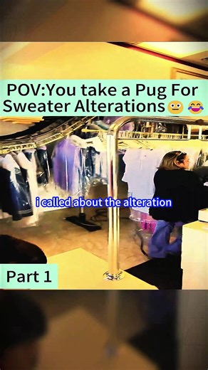 POV:You take a PugFor Sweater Alterations#fyp #fyp#foryou
