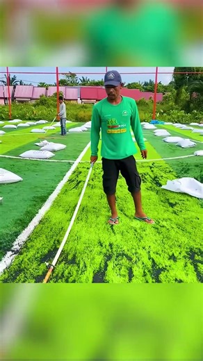 Rubber Infill #dailyfacts #facts #tamil