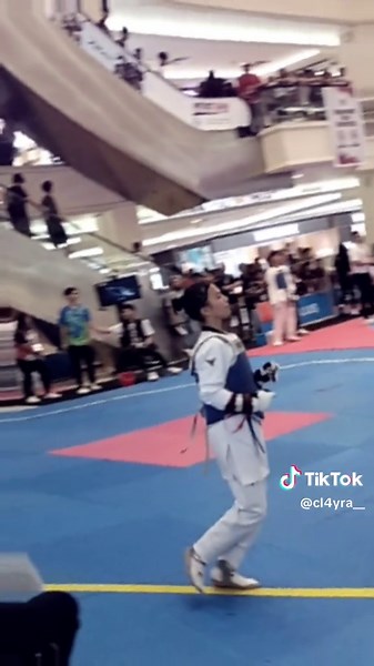 Taekwondo Techniques for Beginners