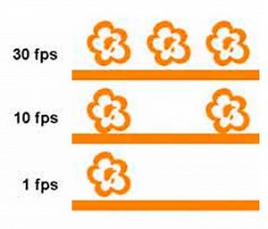 Frame rate · La guía más completa sobre FPS
