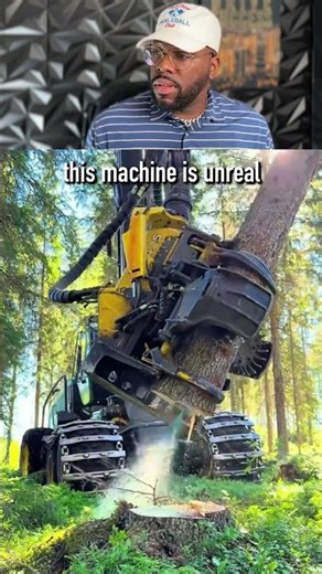 bro unlocked the easiest job #forestry #satisfying