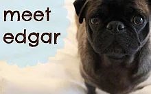 pewdiepie女友Marzia第一次遇见Edgar！！！