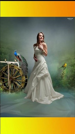 Studio Background 6 x 8 || PSD Studio Background Free Studio Background