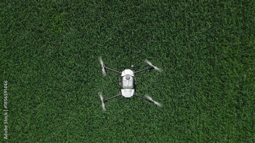 Unmanned Aerial Vehicle Hovers Over Dense Trees With Spectral Imaging And Realtime Display