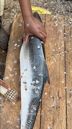 How to clean and rub salmon for cooking #fish #fishcleaning #shorts