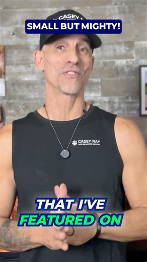 Jack Russell Terrier Owners Don’t Expect This 🦴 #shorts