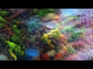 High Dose Shroom Trip Simulation