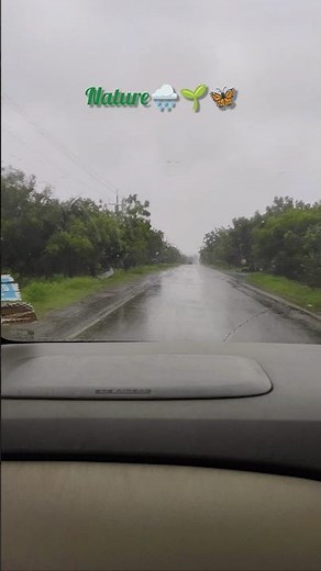 monsoon rain ☔🌧️🍃#nature#naturelovers #naturesounds