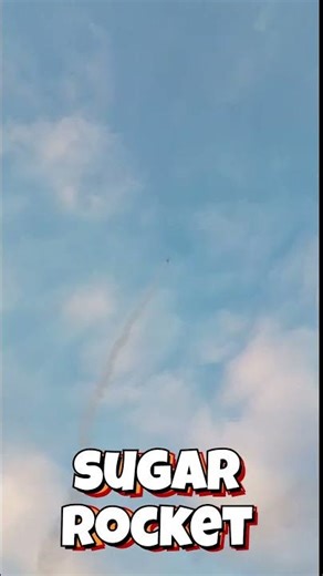 potassium nitrate + sugar=rocket #rocket #diy #project