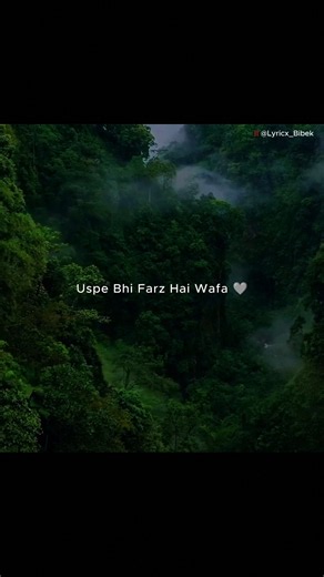 Alvida Alvida ❤️‍🩹🥀 | Aesthetic Lyrics Video | Nabeel Shaukat Ali &Osaf FatehAliKhan | Dar-e-Nijaat