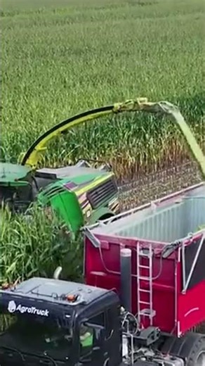 🔥 John Deere 9000 Silage Corn Harvest 🚜🌾 #shorts