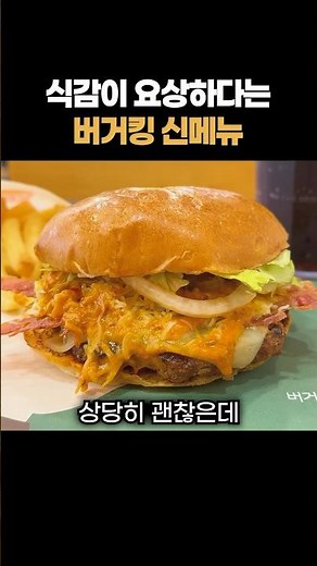 Burger King's New El Paso Chipotle Burger: Honest Review lol
