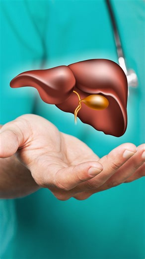 What does the liver do | Doctor ASKY