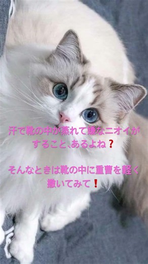【足のニオイを軽くする方法】 #夏 #足 #におい #雑学